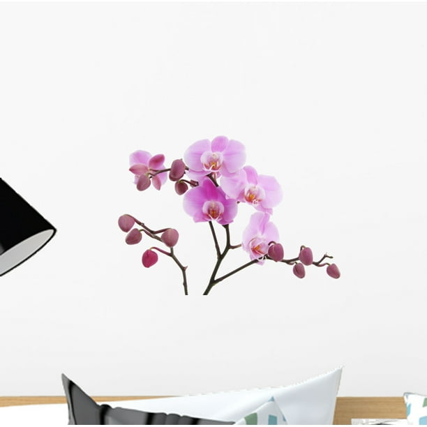ORCHID FLOWER Wall Decal Deco Art Sticker Mural Flower Pot Floral Garden Decor ORCHID FLOWER Wall Decal Deco Art Sticker Mural Flower Pot Floral Garden Decor